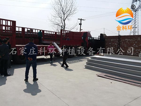 丝瓜黄色视频网站7